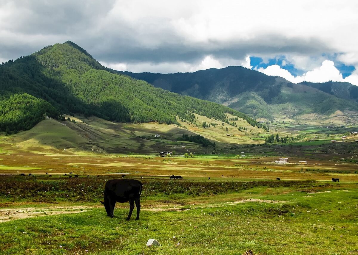 Bhutan-Phobjikha Valley
