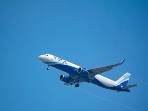 indigo-flights