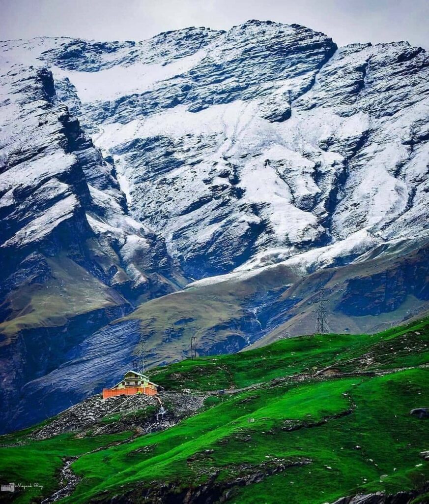 Gulaba