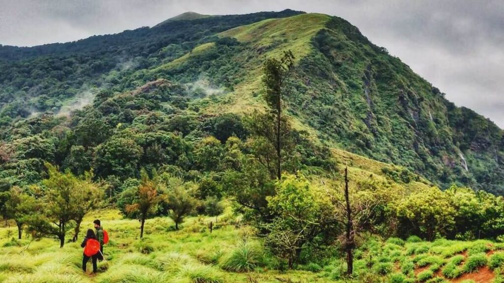 Nishani Motte Peak Coorg