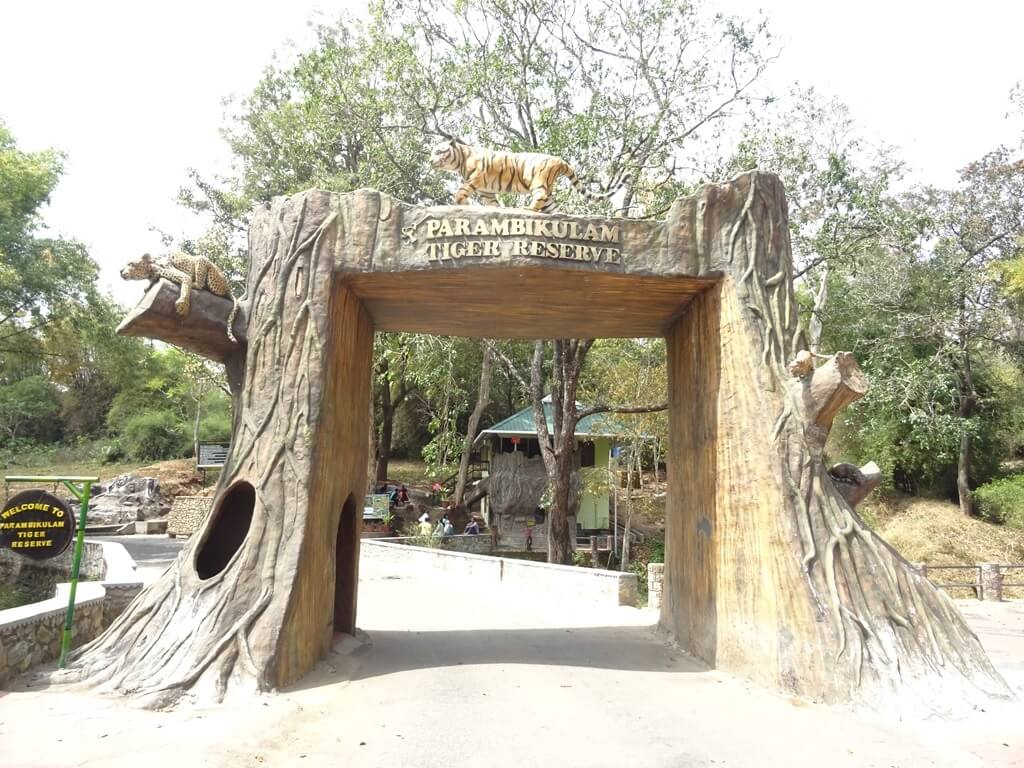 Parambikulam Tiger Reserve Palakkad