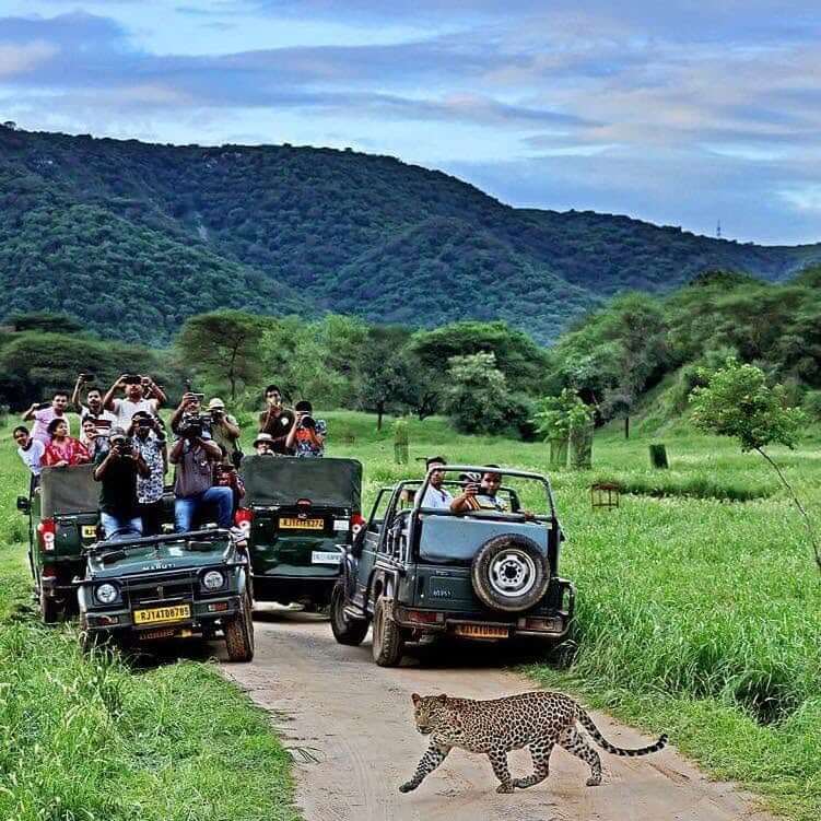 Amagarh Leopard Safari Jaipur