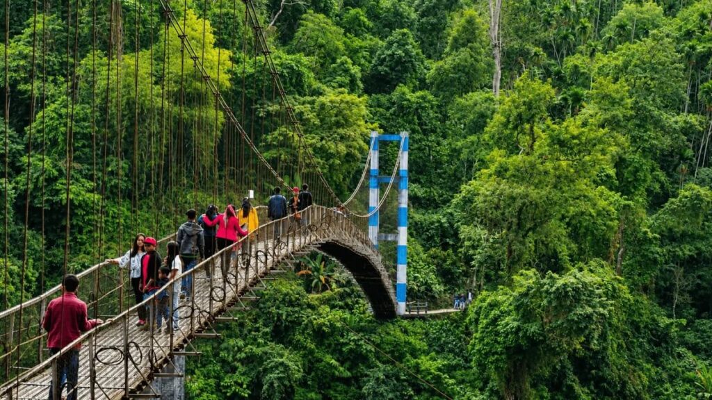 Jungle Trekking in Meghalaya