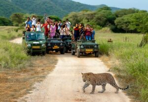 Wildlife Sanctuaries Near Jaipur to Explore in October