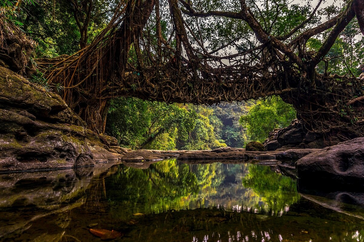 Mawsynram Travel Guide – 13 Must-Do Activities & Spots