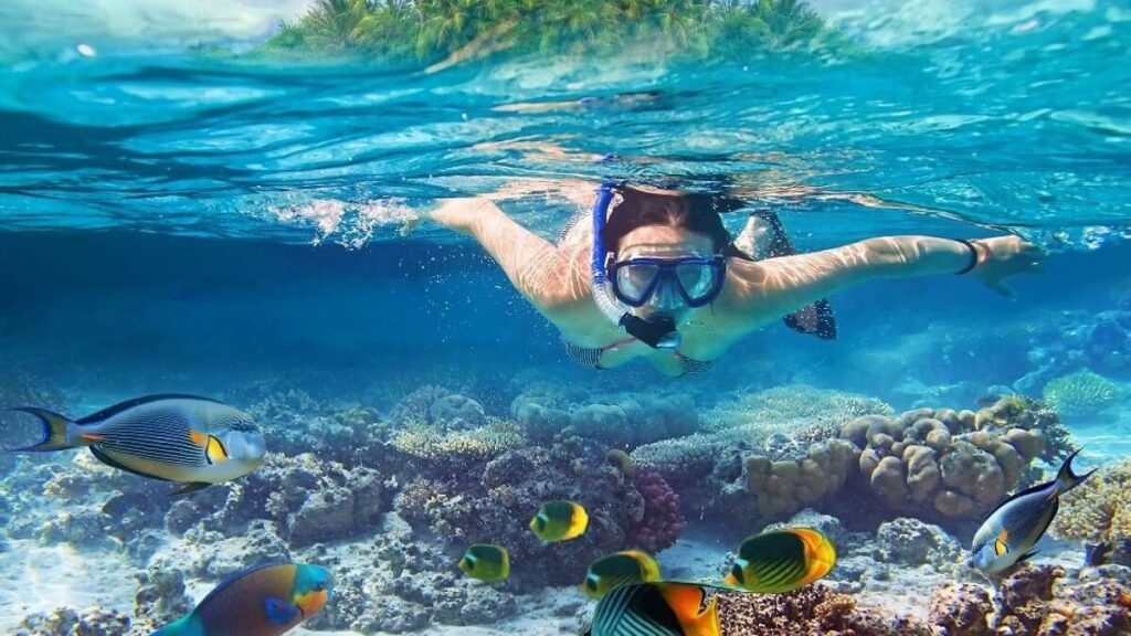Snorkeling in Maldives