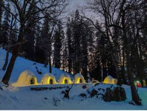 Stays in India Igloos and Treehouses