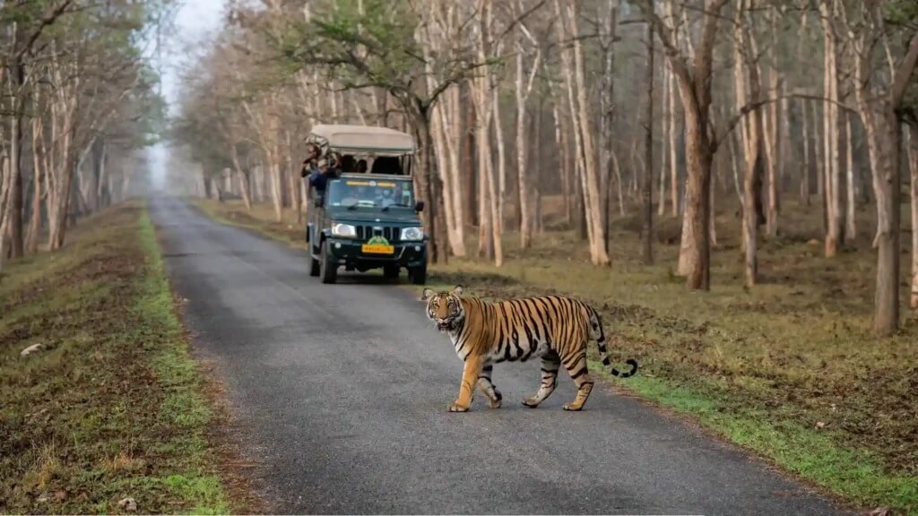 Kabini National Park