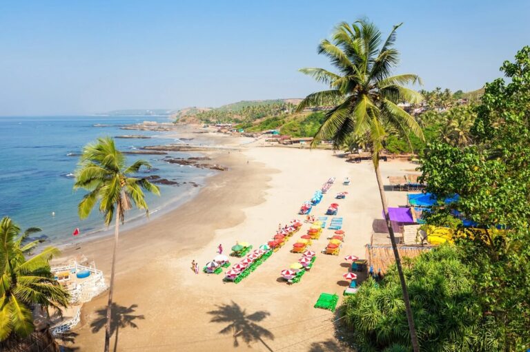 Places to Visit in Goa in February