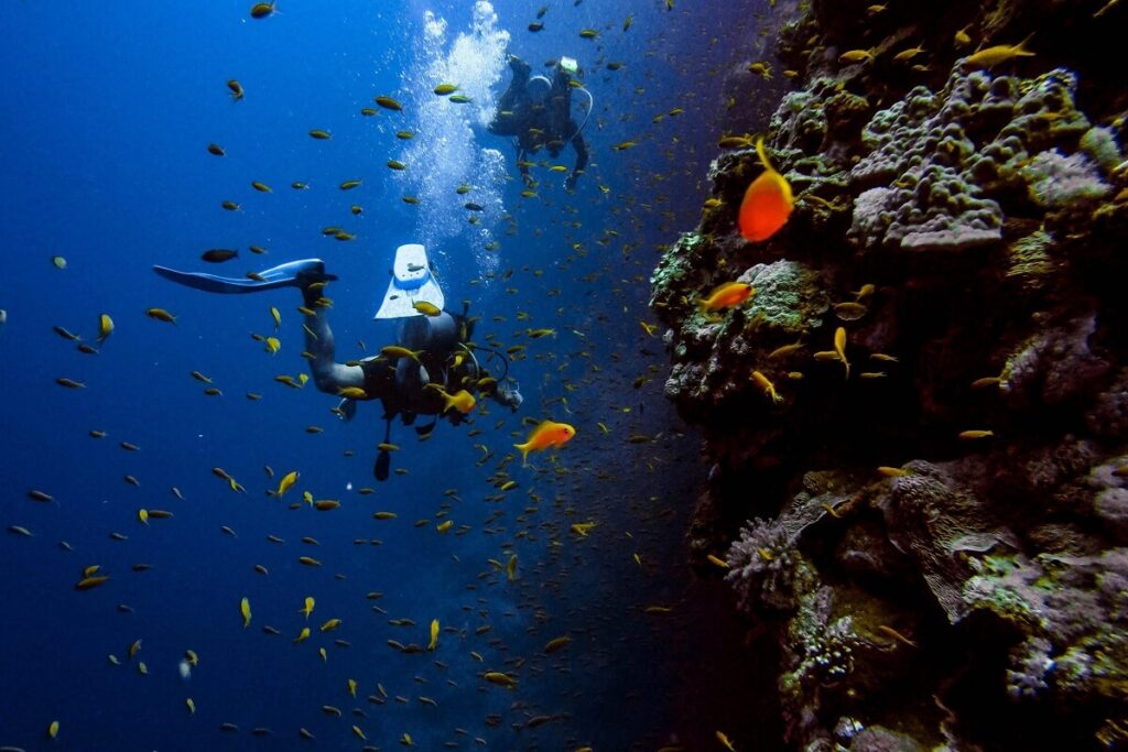 Scuba Diving at Temple Reef Pondicherry