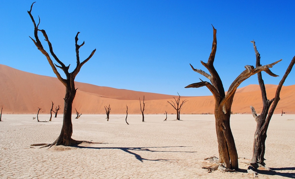 What You Should Do Next