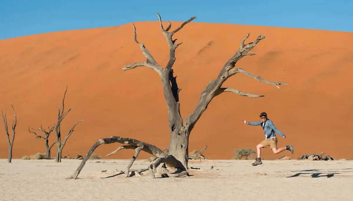 Namibia’s E-Visa System: What’s Happening?