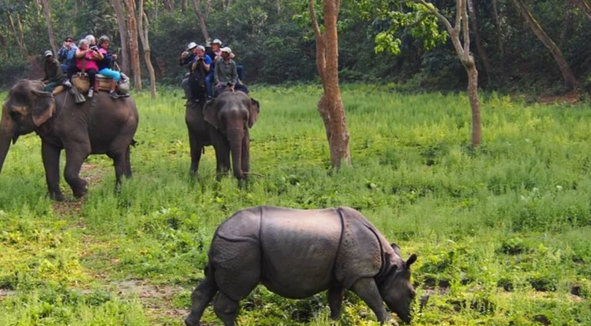 Conservation Efforts