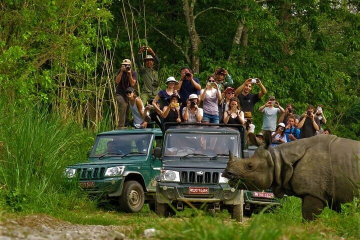 Jungle Safari in Chitwan National Park