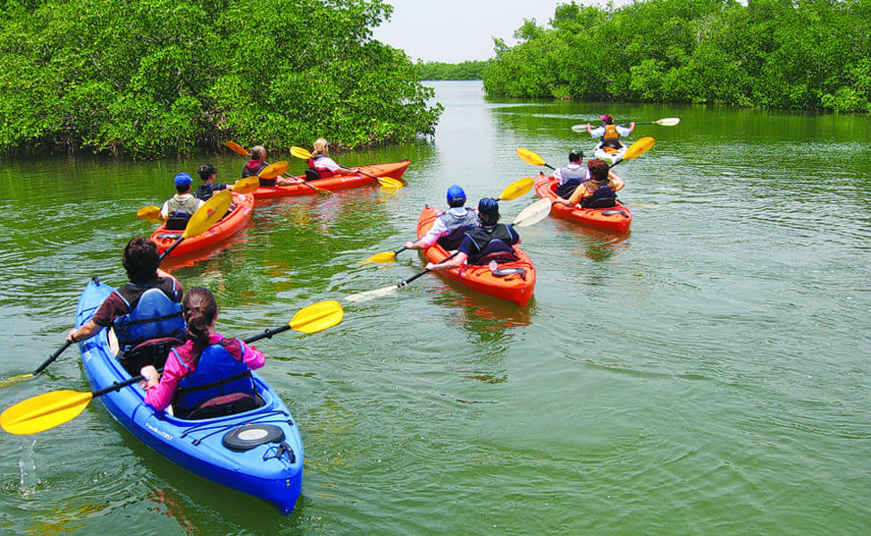 Kayaking in Alleppey