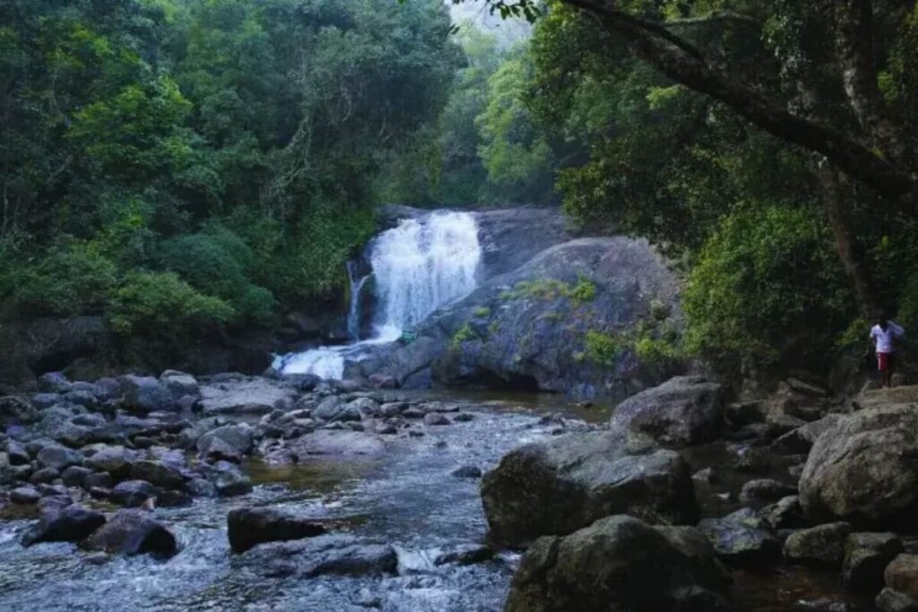 Keezharkuthu Waterfalls Idukki