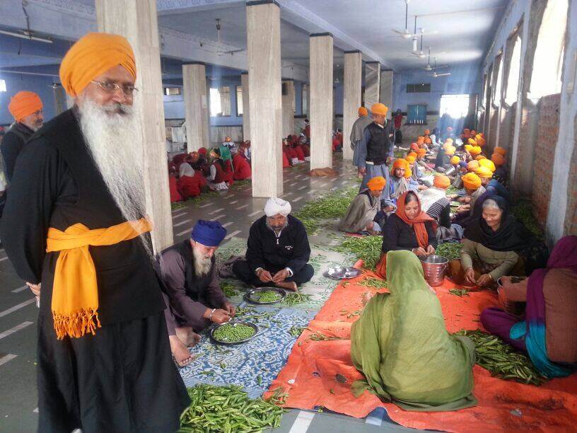 Langar Seva in Gurudwara Guru Ka Taal Agra
