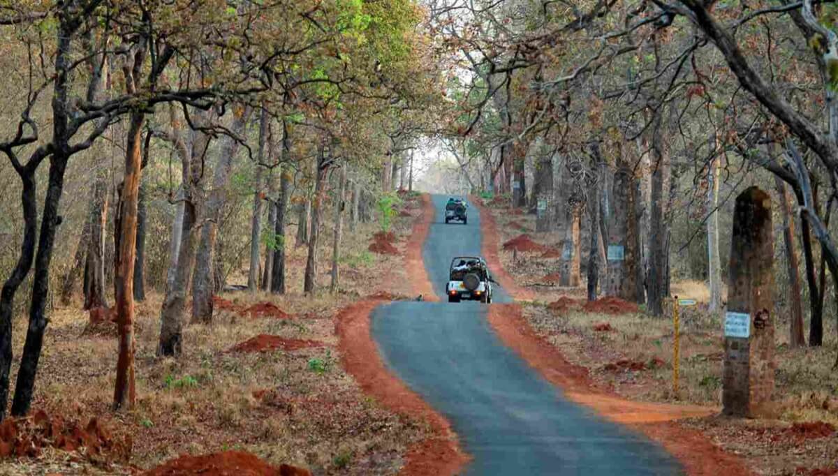 Suggested Itineraries