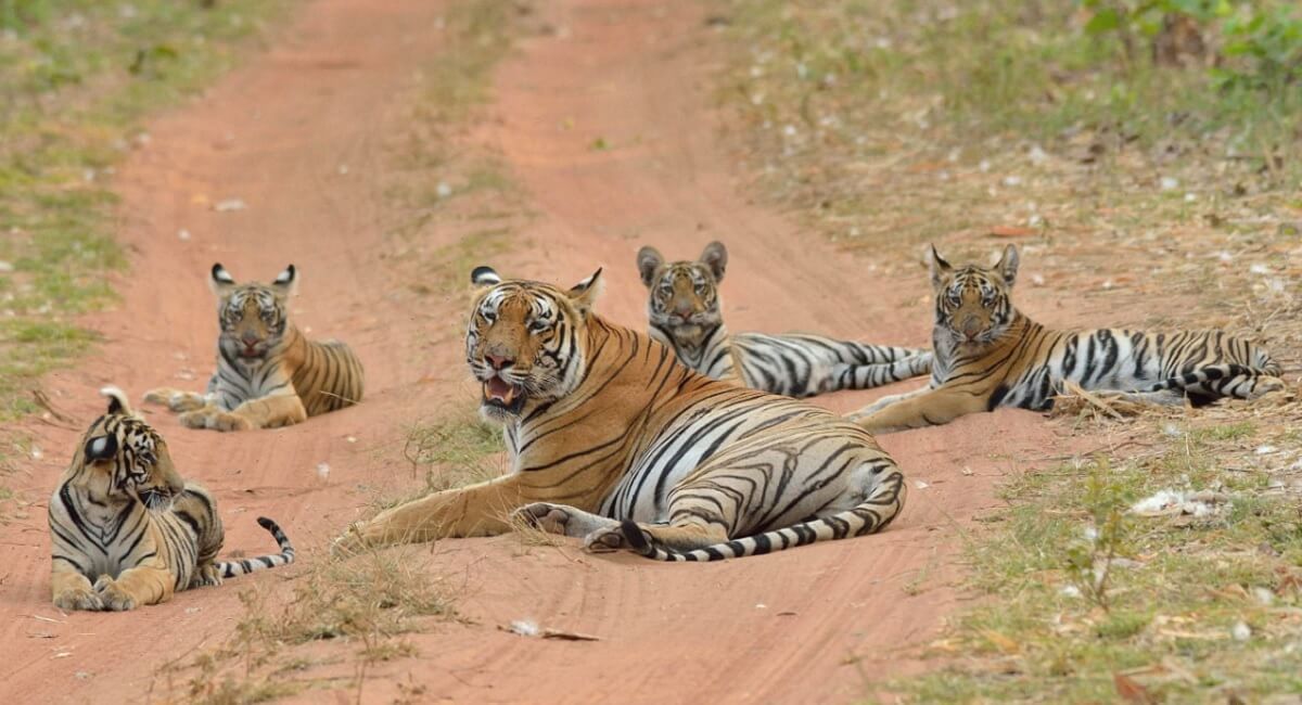 Travel Tips for First-Time Visitors