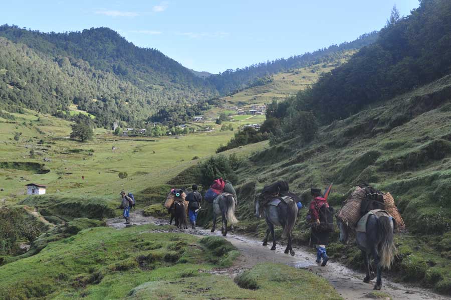 Merak Sakteng Trek Bhutan