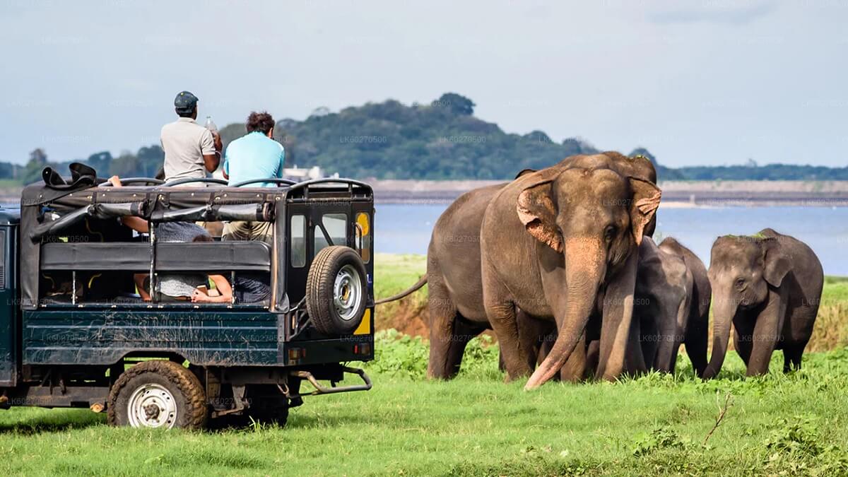 How to Reach Yala National Park: