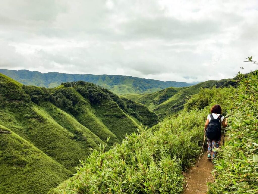 Dzukou Valley Trek Nagaland