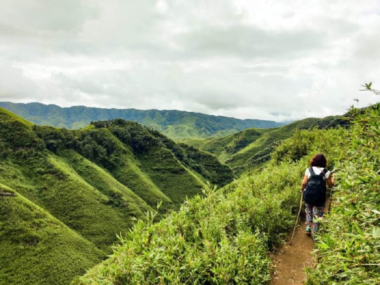 Dzukou Valley Trek Nagaland