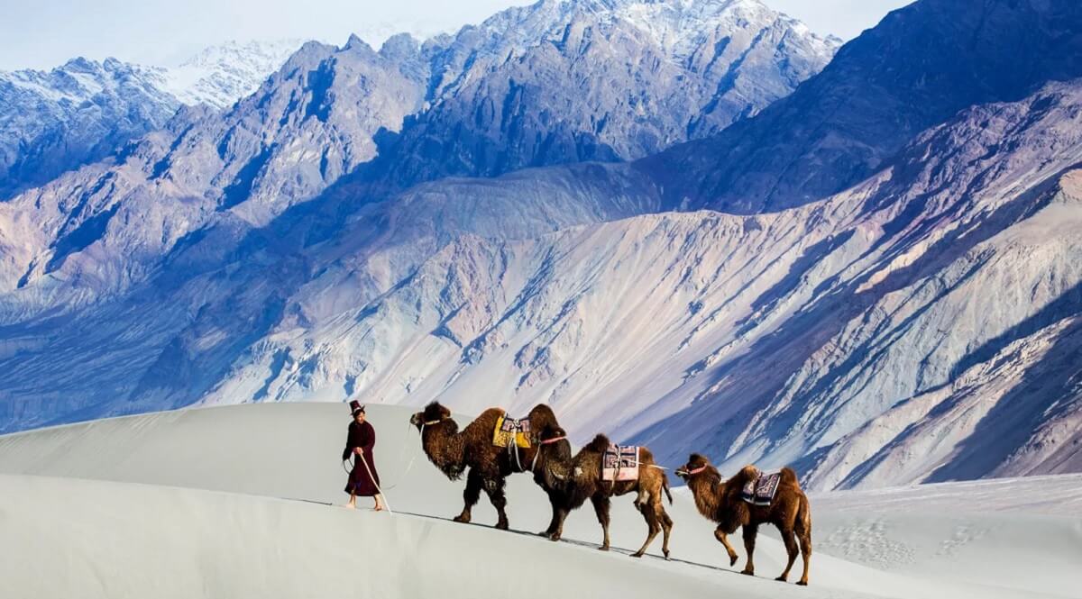 What Makes May Special in Ladakh?