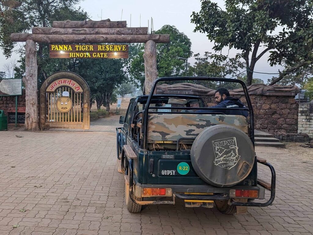 Safari Experience at Panna National Park