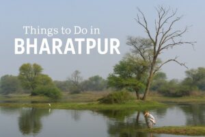 Top 10 Things to Do in Bharatpur, Rajasthan