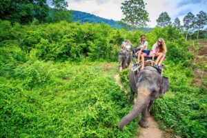 Wildlife National Parks in Thailand