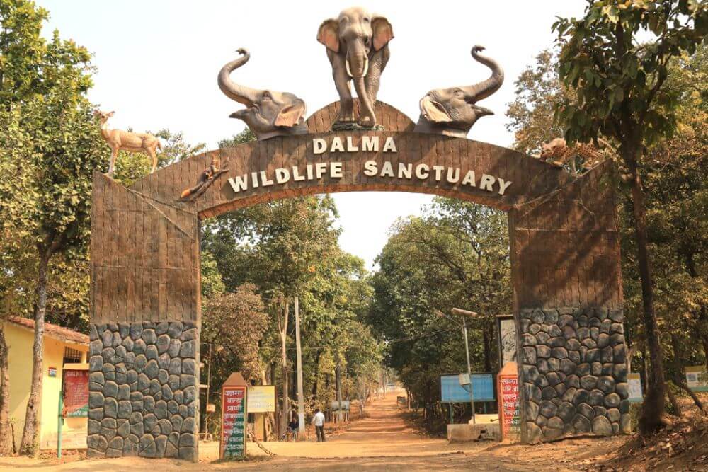Dalma Wildlife Sanctuary Jharkhand