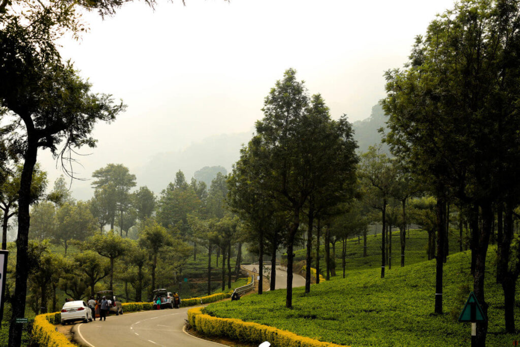 Day Trip to Valparai