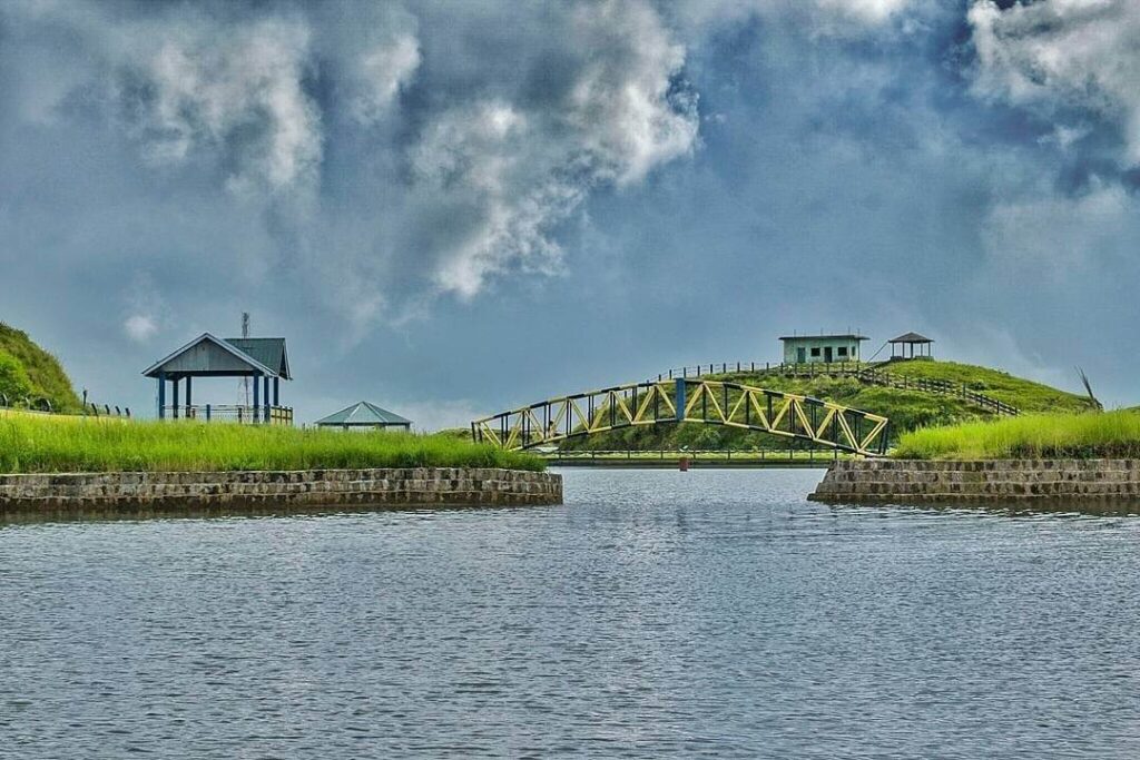 Jarain Pitcher Plant Lake Jowai