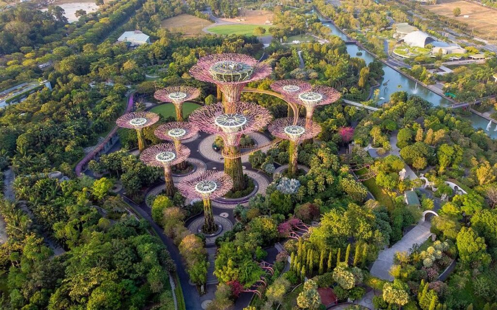 Supertree Grove Gardens by The Bay