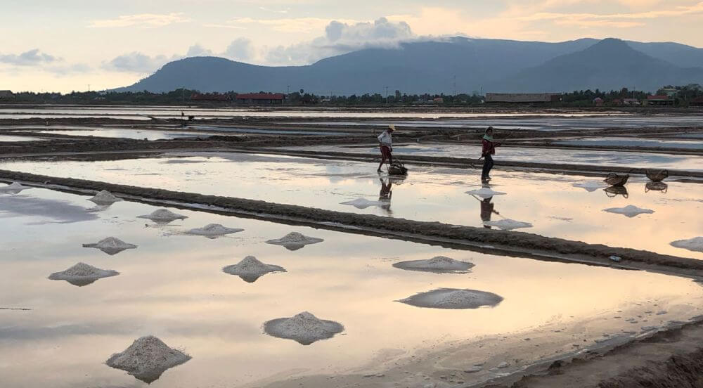 Salt Fields of Kampot