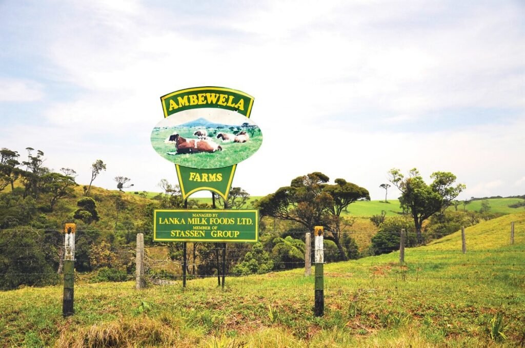 Ambewela – “Little New Zealand” Nuwara Eliya