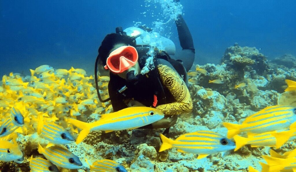 Snorkeling & Scuba Diving Maldives