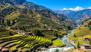 Things to Do in Haa Valley