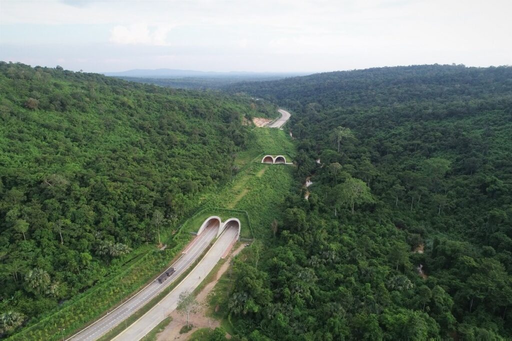 Dong Phayayen–Khao Yai Forest Complex Thailand