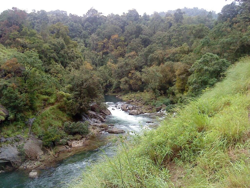 Kunthipuzha River Silent Valley National Park