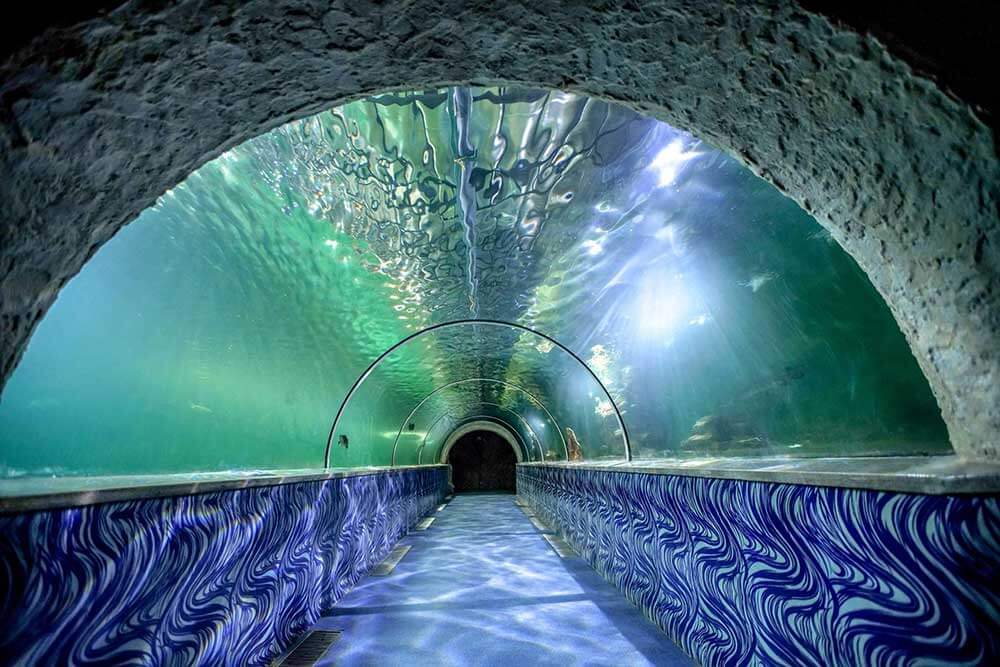 Marine World Public Aquarium Guruvayur