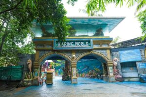 7 Places to Visit Near Guruvayur Temple in One Day