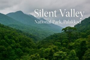 Silent Valley National Park, Palakkad