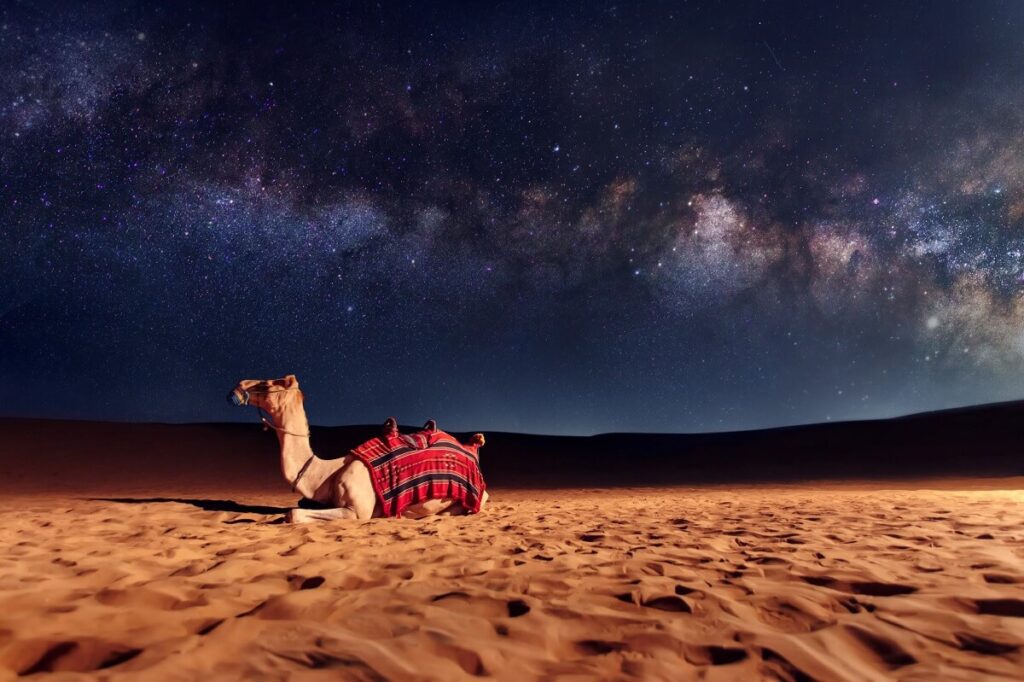 Stargazing in Thar Desert Khuri