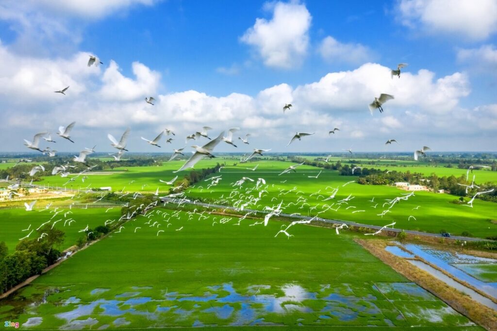 Tram Chim National Park Vietnam
