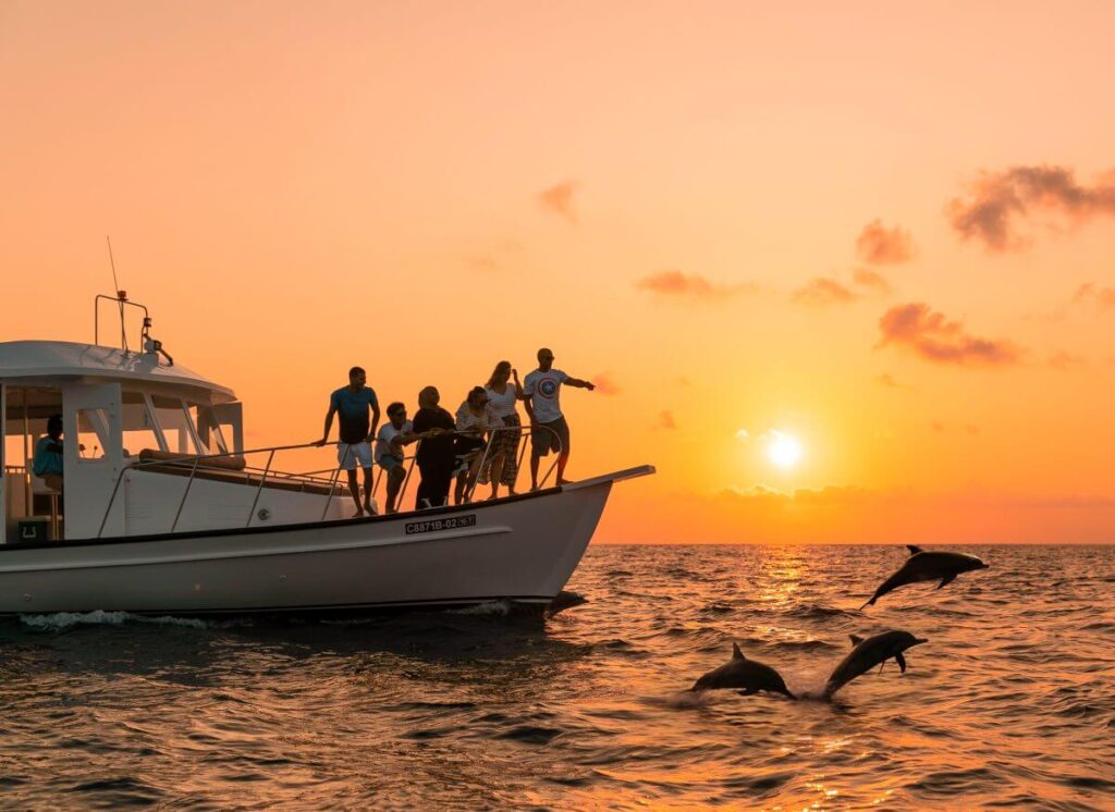 Dolphin Watching at Sunset Maldives