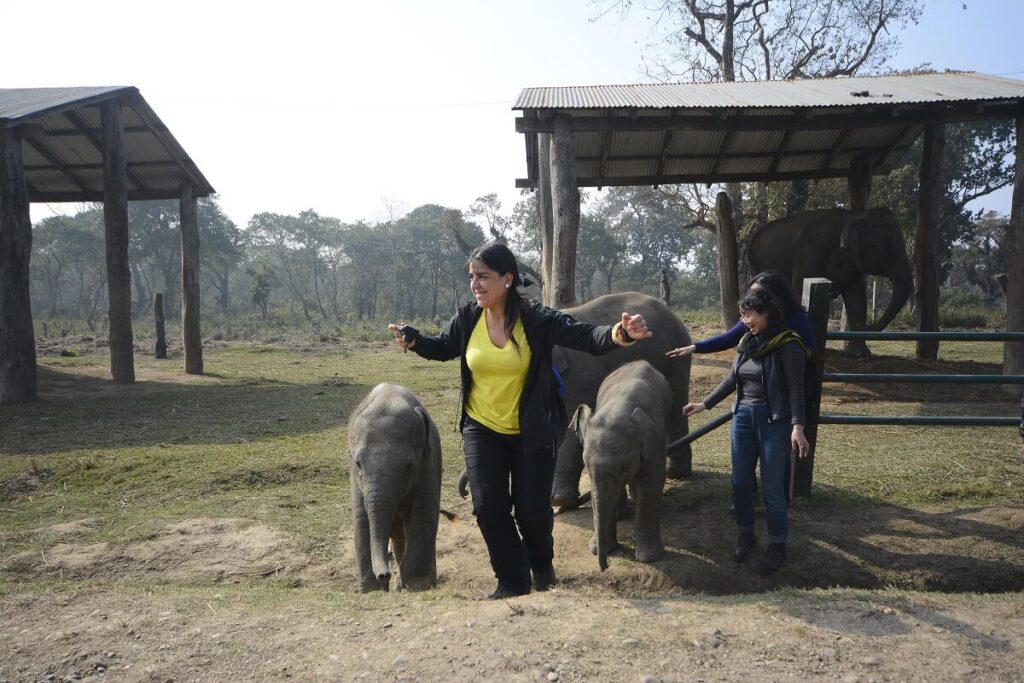 Elephant Breeding Center Chitwan