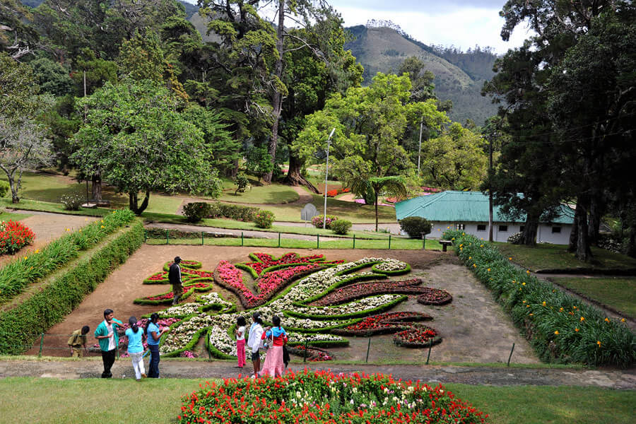 Hakgala Botanical Garden Nuwara Eliya