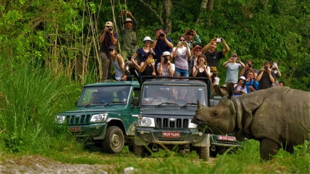Photography Tour in Chitwan